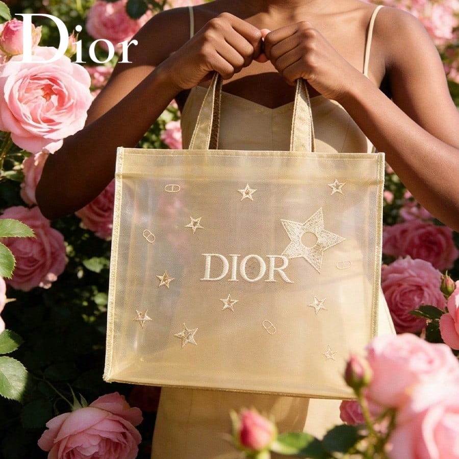 Christian Dior Dior’s bag Luxu - Luxury Bags Dior のレビューと価格